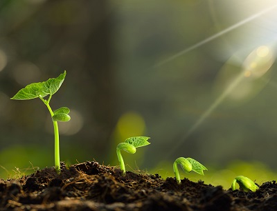 一个产品从0到1创新需要经历的3个阶段